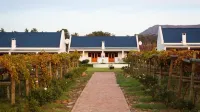 Endless Vineyards at Wildekrans Wine Estate Hotels in Overberg District Municipality