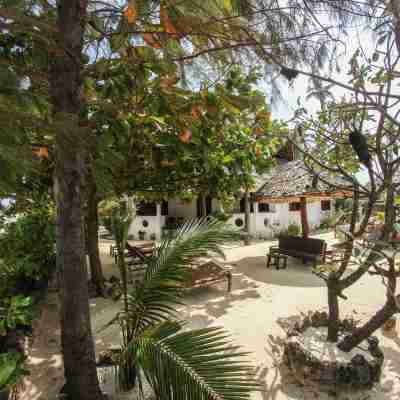 Kipepeo Lodge Zanzibar Hotel Exterior