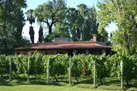 Posada Verde Oliva