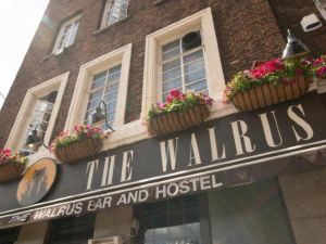 The Walrus Bar and Hostel