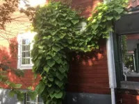 Stockholm B&B Cottage فنادق في ناكا