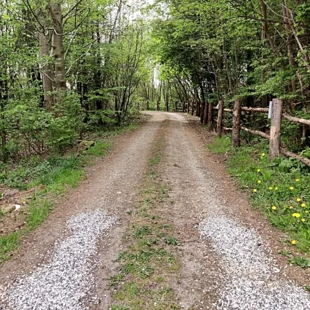 Skovgaard - Near MCH & Boxen