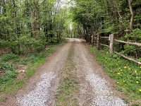 Storms Bed & Breakfast - Pet-friendly