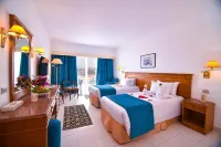 Alexander The Great Marsa Alam