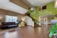 Sleep Inn