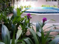 Central Motel - Pools