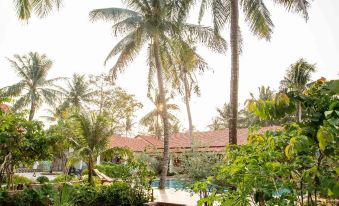 Hula Hula Beachfront Phu Quoc