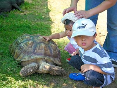 その他 定山渓ビューホテルの写真