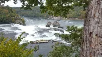 Hotel Edelweiss Hotels in Neuhausen am Rheinfall