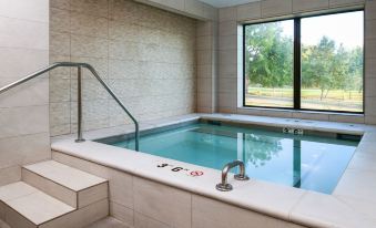 an indoor swimming pool with a glass door , surrounded by stone walls and equipped with a water heater at The Independence Hotel