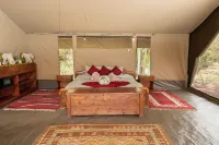 Hammerkop Migration Camp