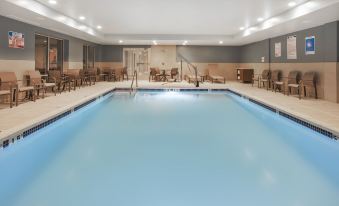 Holiday Inn Express & Suites Auburn Hills South