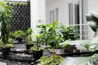 Bromo Park Hotel Probolinggo Hotel dekat Masjid Nurul Jadid Al Firdaus