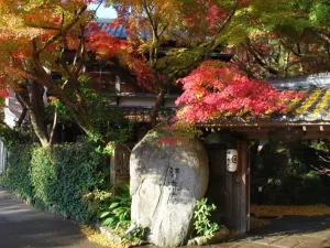 Akizuki Spa Ryokan Seiryuan