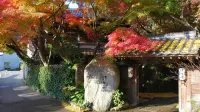 Akizuki Spa Ryokan Seiryuan Hotels in 