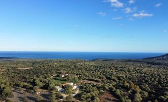 Agriturismo Paulesa