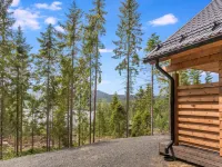 Kolin Kangastus Kanerva 4 Hotels in Pielinen Karelia