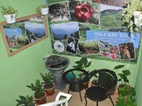 CH Travellers Inn - Hostels
