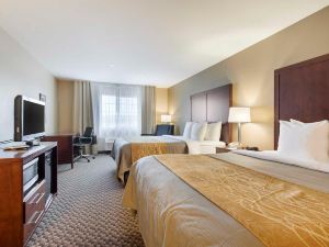 Comfort Inn Auburn – Seattle