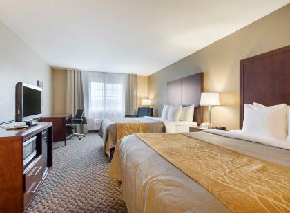 Comfort Inn Auburn – Seattle