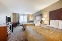 Comfort Inn Auburn - Seattle Các khách sạn ở 