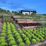 Umva Muhazi Hotels in Rwamagana