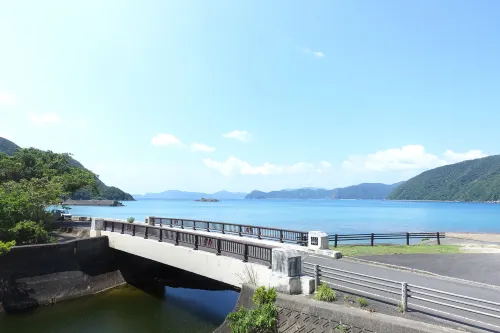 Denpaku Lily No Ie <Amamioshima>
