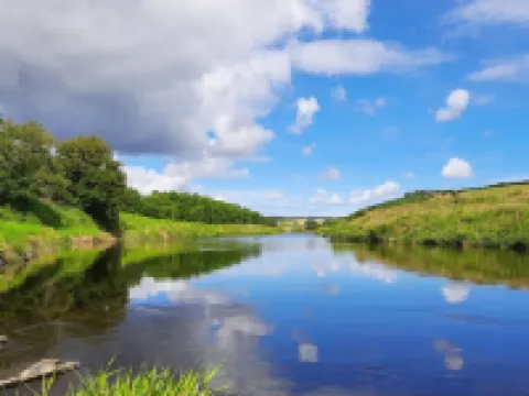 Sunflower Cottage Hotels in Huntly