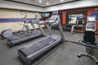 Hampton Inn & Suites Palestine - Gym