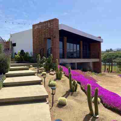 Hotel Otero Valle de Guadalupe Hotel Exterior