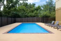 Microtel Inn & Suites by Wyndham Houma - piscina