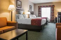 Comfort Suites Hotels in Canton