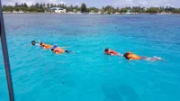 Equa Reef Maldives - Beach