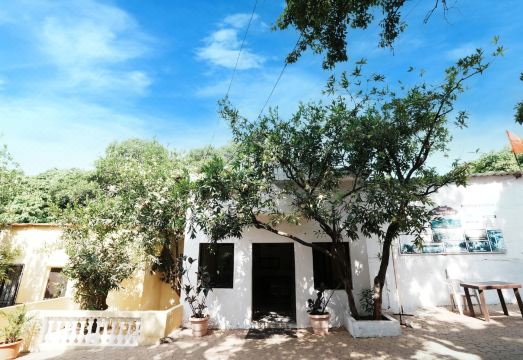 Hotel Dwarka Hotel Overview