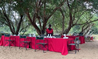 Karongwe Portfolio - Becks Safari Lodge