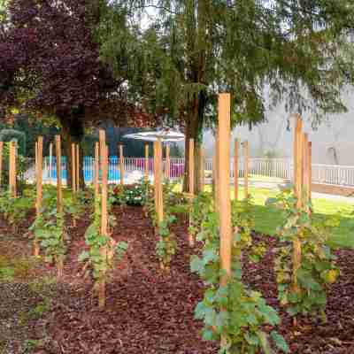 Hôtel Ibis Styles Mâcon Centre Hotel Exterior