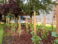 Ibis Styles Mâcon Centre Các khách sạn gần Parc Nord