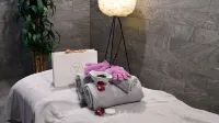皮特哈維巴皮特奧度假村 - SPA