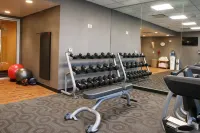 Fairfield Inn & Suites Madison Verona - Træningscentre