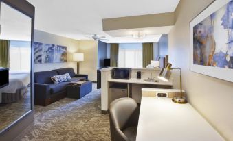 SpringHill Suites Minneapolis-St. Paul Airport/Eagan