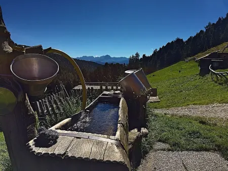 New opening June 2022 - Chalet tree house with private whirlpool