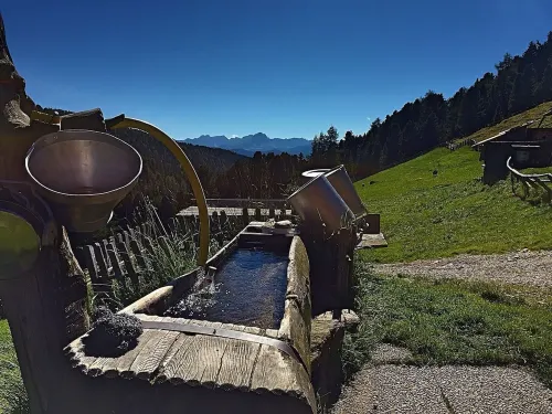 New opening June 2022 - Chalet tree house with private whirlpool Hotels in Vintl