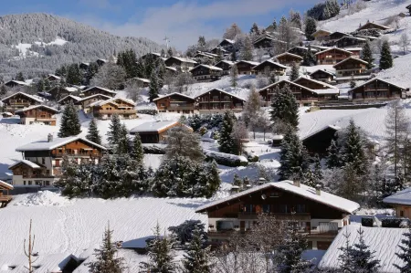Large, Comfortable Apartment in an Exceptional Location Near the Village and Ski Slopes.