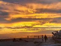 125' Beachfront Bliss, Private Beach Access, Firepits, crabbing, clamming - wow! Hotels in Netarts