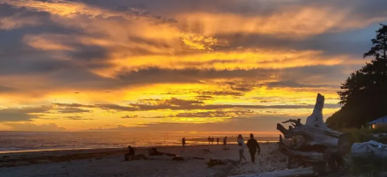 125' Beachfront Bliss, Private Beach Access, Firepits, crabbing, clamming - wow!