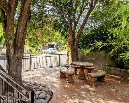 Turn-of-the-Century Gem! The Painted Lady.