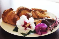 Bluelake Apartment - Lake Como Castello di Vezio 주변 호텔