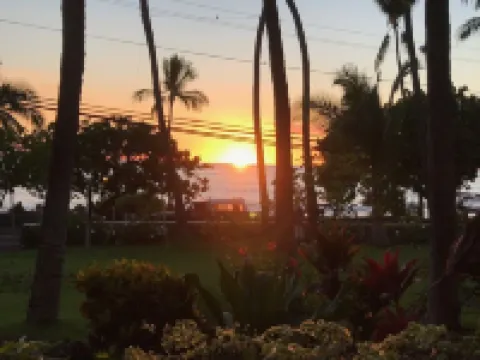 The Sand- Cozy condo in the heart of Kona