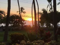 The Sand- Cozy condo in the heart of Kona Hotels near Manini'owali Beach (Kua Bay)