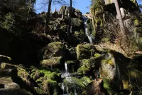 Cozy apartment in the beautiful Ore Mountains - apartment autumn Hotels in Eibenstock